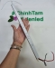 Hình 1